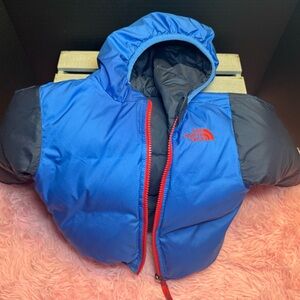 The North Face Blue and Gray Puffer Jacket with Red Accents